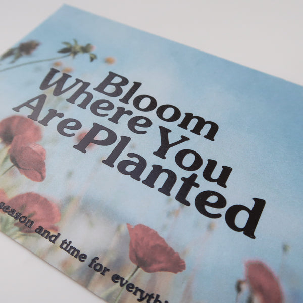 A detailed view of a postcard with a floral background and the message "Bloom Where You Are Planted," along with the text "There is a season and time for everything," encouraging growth and resilience.