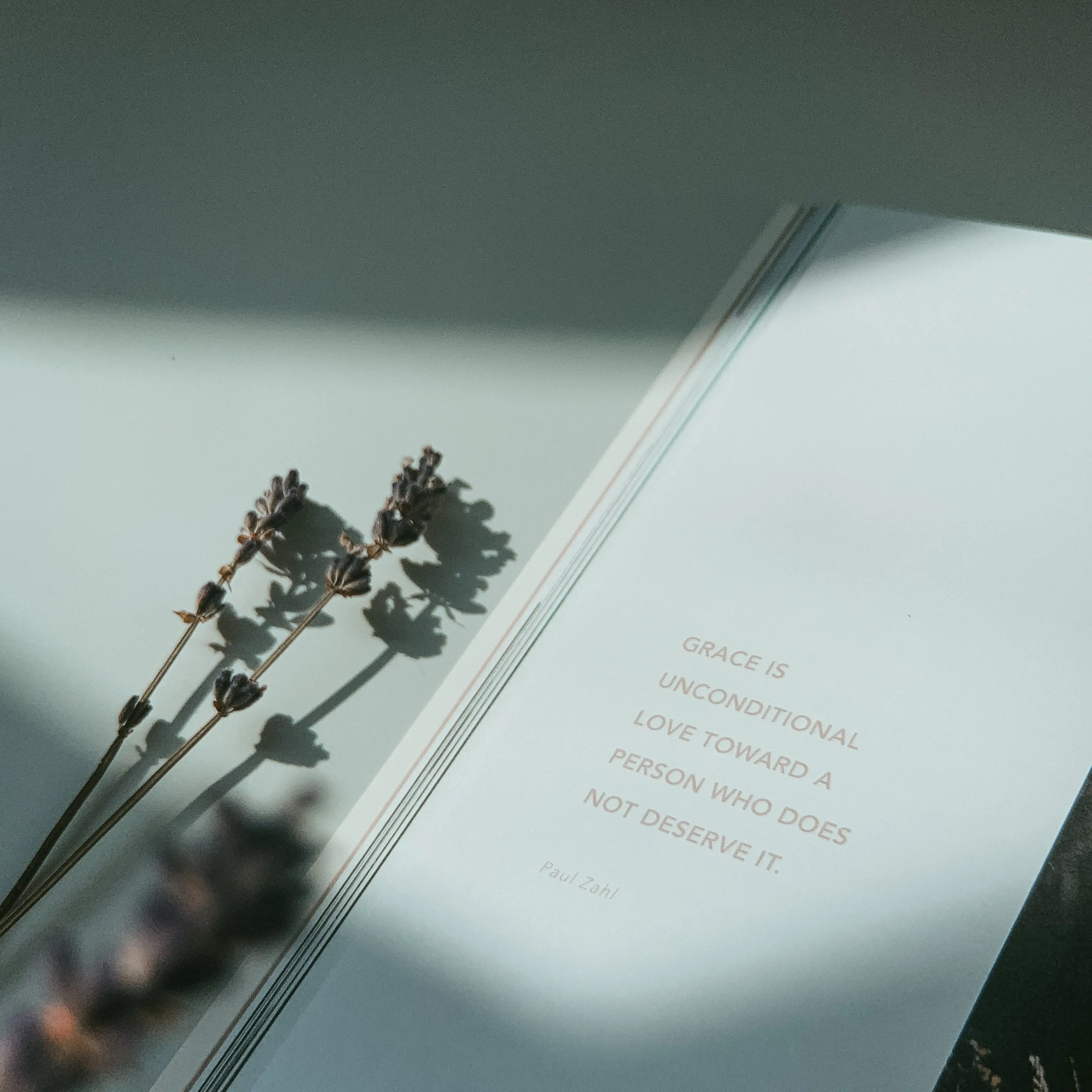 An open page from the Who Is Jesus book featuring an inspiring quote about grace, with dried lavender sprigs on a sunlit table, reflecting simple happiness and faith.