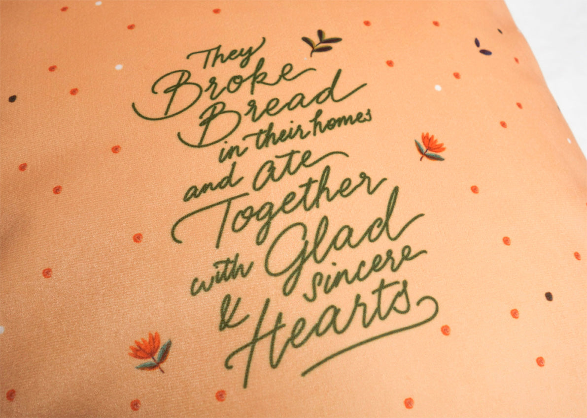 Close up design of cushion cover. Super soft velvet material cushion cover.