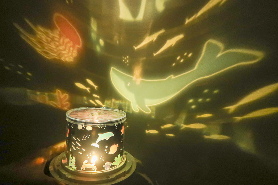 Underwater whale, dolphin, fish, octopus and crab projection on a wall
