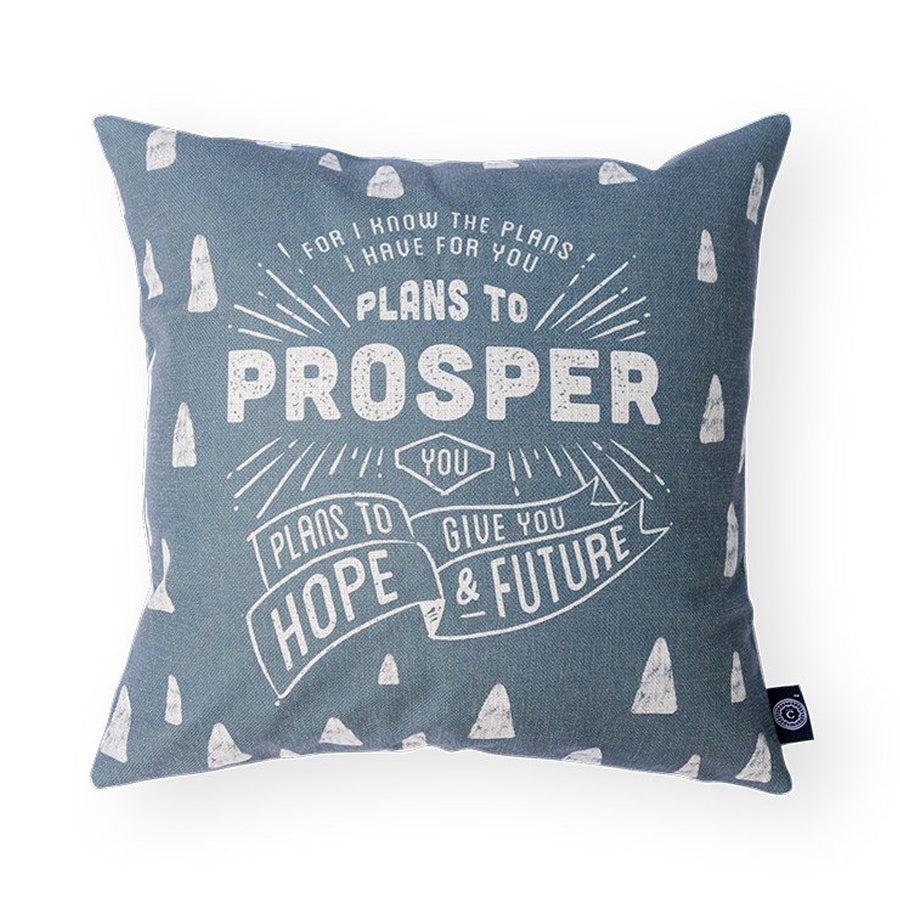 Plans to Prosper You Jeremiah 29:11 Christian cushion cover