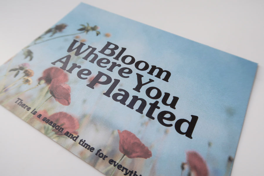 A detailed view of a postcard with a floral background and the message "Bloom Where You Are Planted," along with the text "There is a season and time for everything," encouraging growth and resilience.