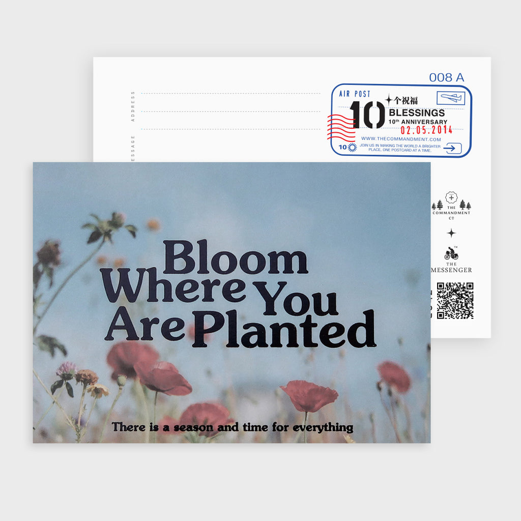 A postcard with a beautiful floral background and the message "Bloom Where You Are Planted," accompanied by the text "There is a season and time for everything," encouraging growth and resilience.