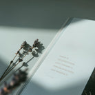 An open page from the Who Is Jesus book featuring an inspiring quote about grace, with dried lavender sprigs on a sunlit table, reflecting simple happiness and faith.