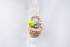 Cute squirrel necklace in an acorn with leaves