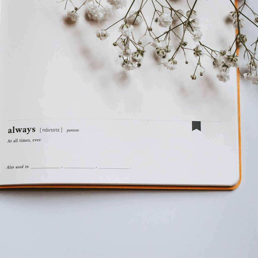 Dive Deep: Philippians | Journal - Journal by The Project J, The Commandment Co , Singapore Christian gifts shop