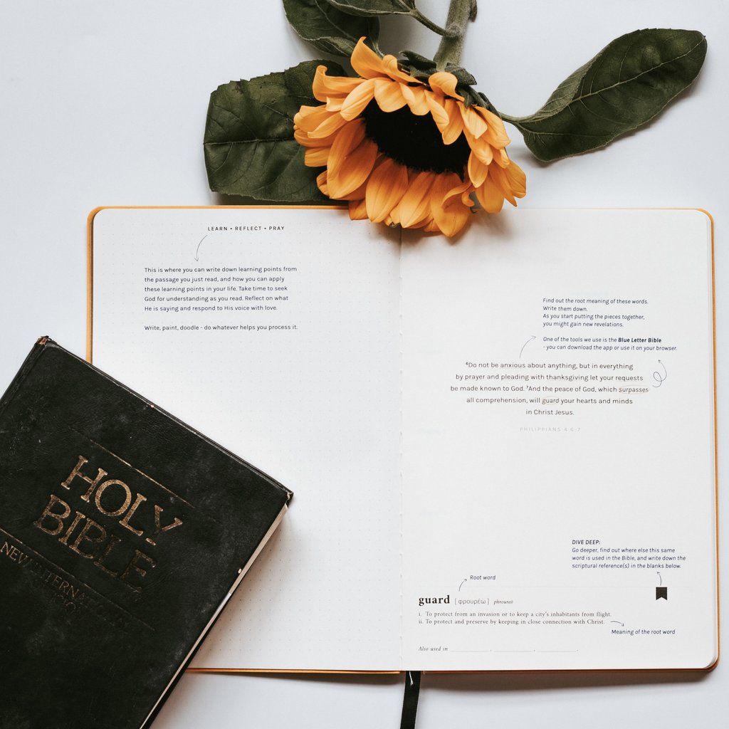 Dive Deep: Philippians | Journal - Journal by The Project J, The Commandment Co , Singapore Christian gifts shop