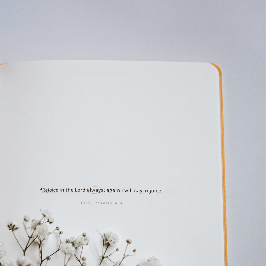 Dive Deep: Philippians | Journal - Journal by The Project J, The Commandment Co , Singapore Christian gifts shop