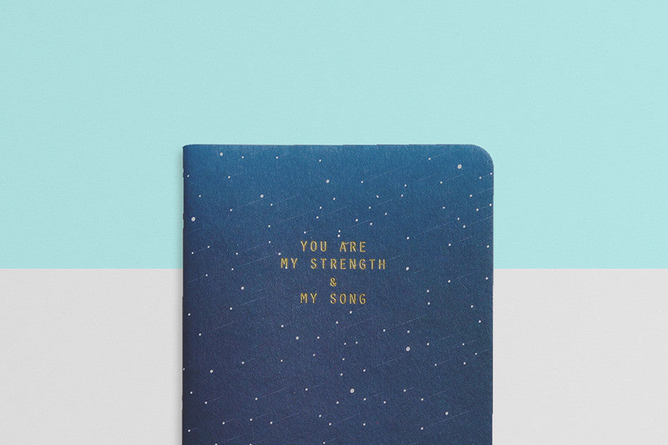 courage heynewday strength and song pocket notebook