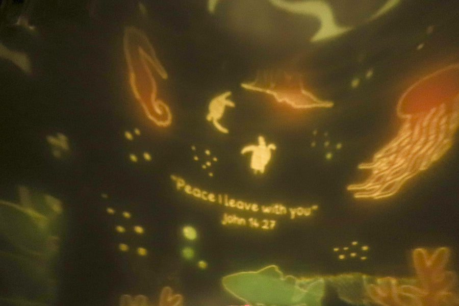 Jonah underwater projection from the Light of the World projector on a wall