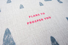 Close-up of the Plans to Prosper You Christian cushion cover