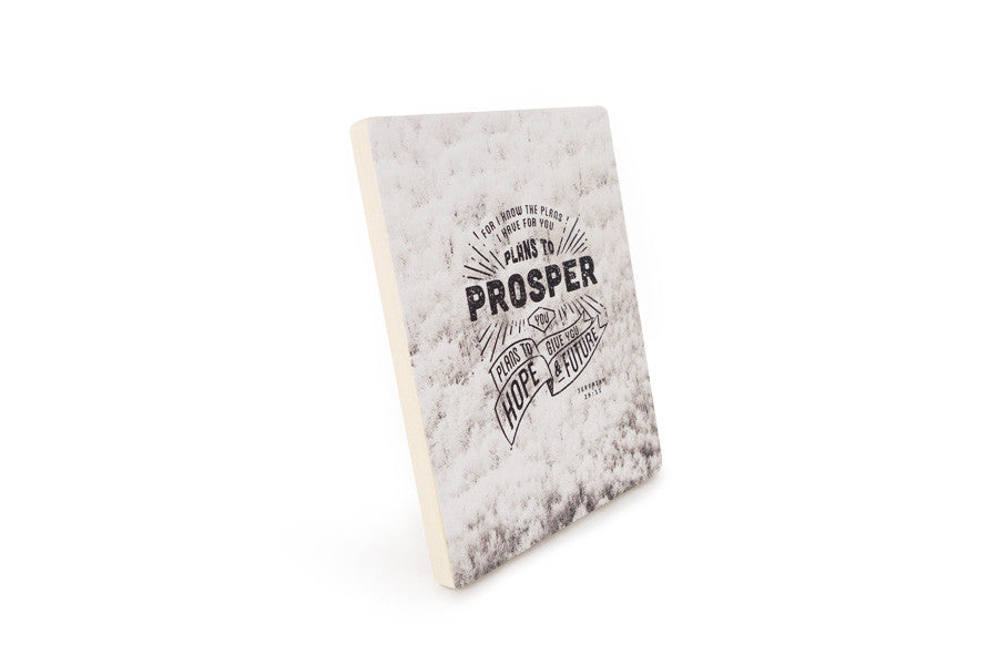 Side view of motivational bible verse ‘Plans to prosper you’ on clouds background digitally printed on 16cmx20cm quality pine wood.